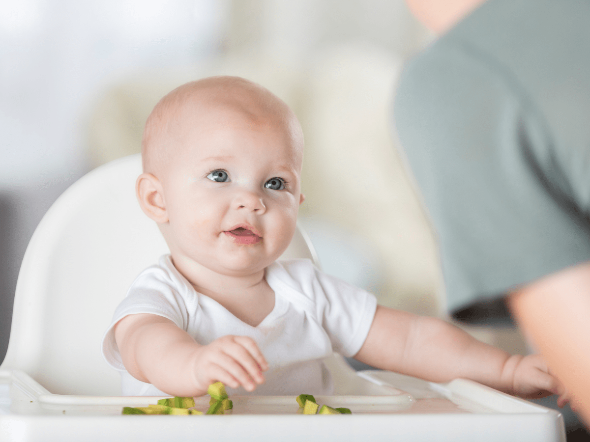 Can I Start Baby-Led Weaning At 5 Months?